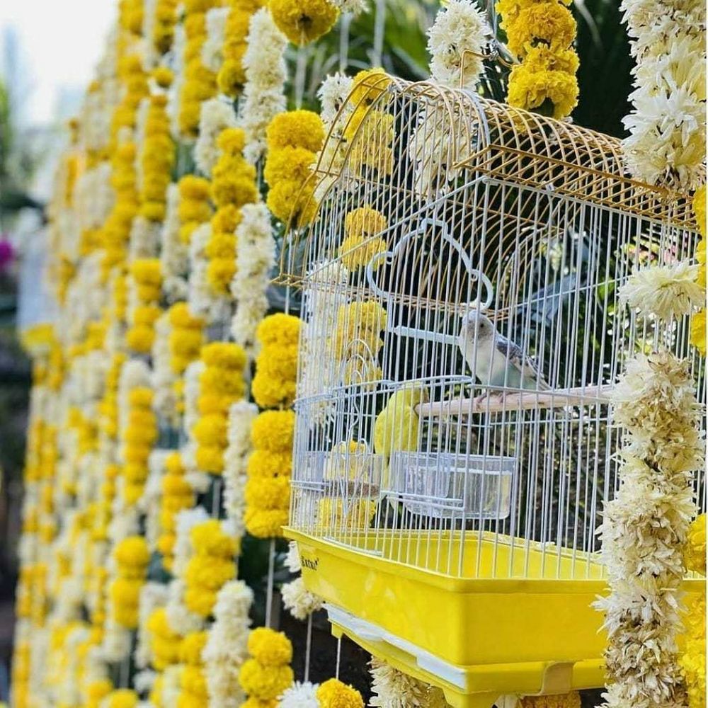 Photo From Haldi - By I Wish Events