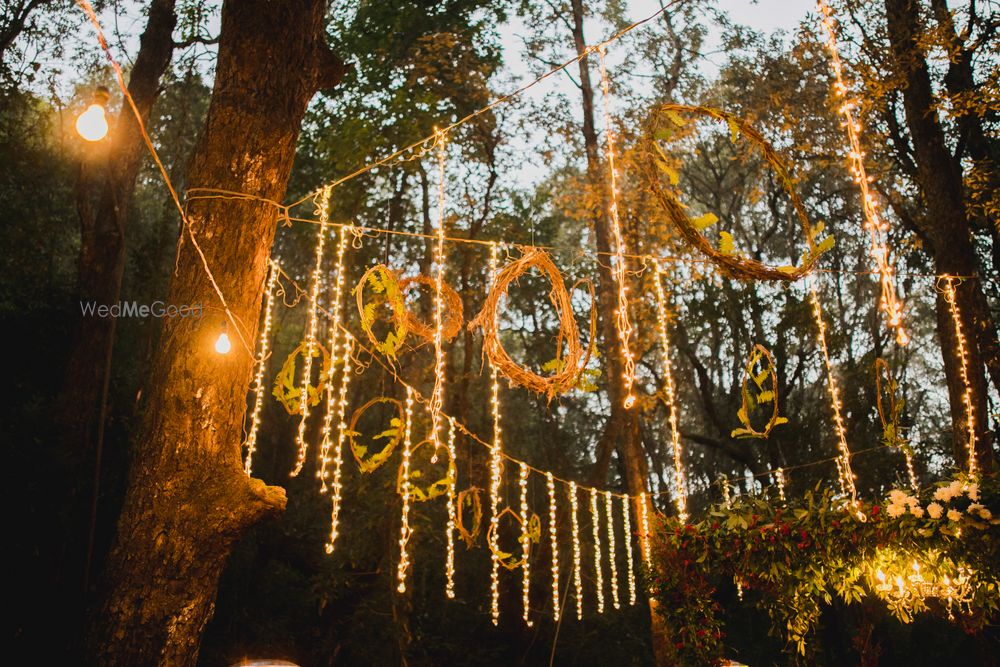 Photo From Amongst the trees. - By Wedding Duo