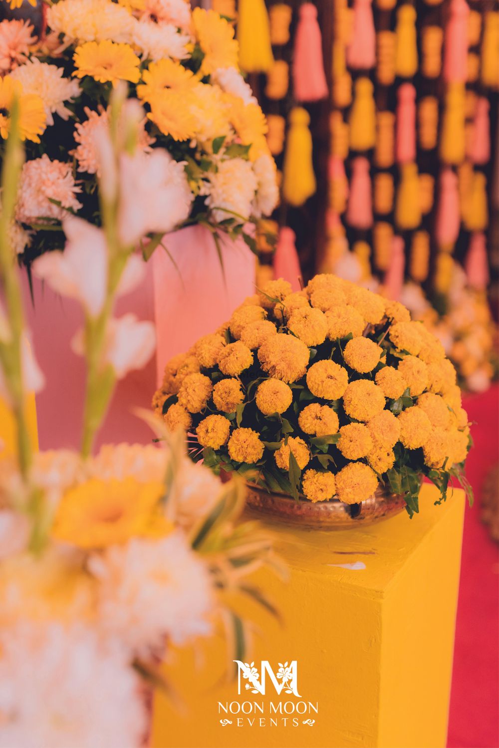 Photo From Tanya & Dhananjay Haldi Ceremony - By Noon Moon Events