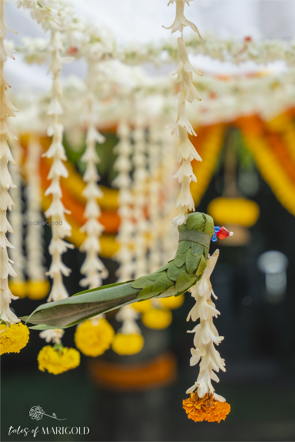 Photo From Anushka & Varun - By Tales of Marigold