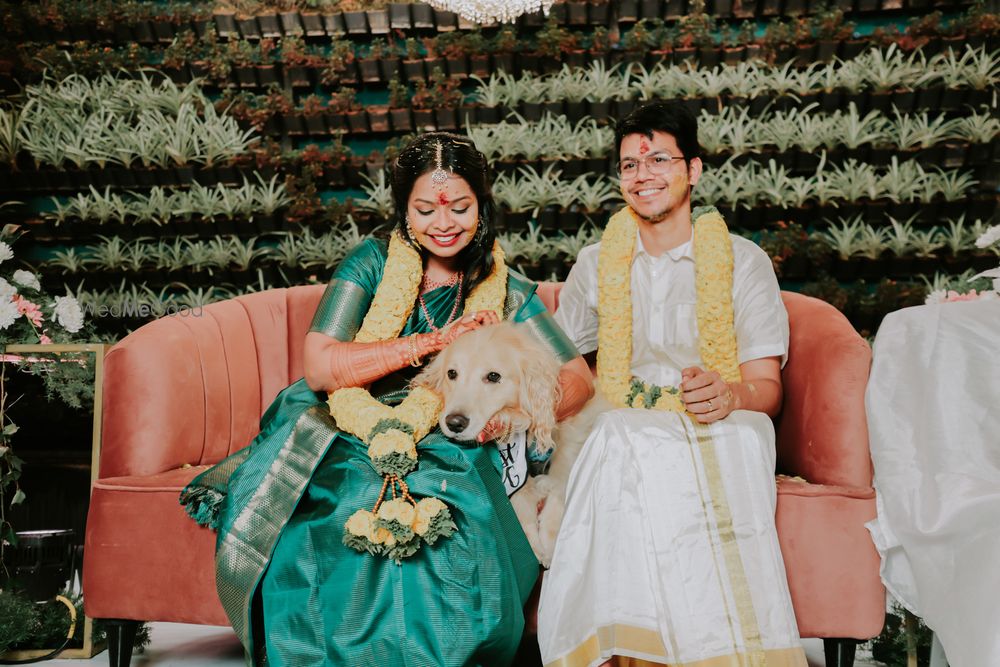 Photo From Sindhu X Suraj - By Pixel Chronicles