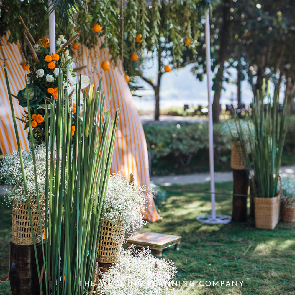 Photo From Real Oranges Decor - By The Wedding Planning Company