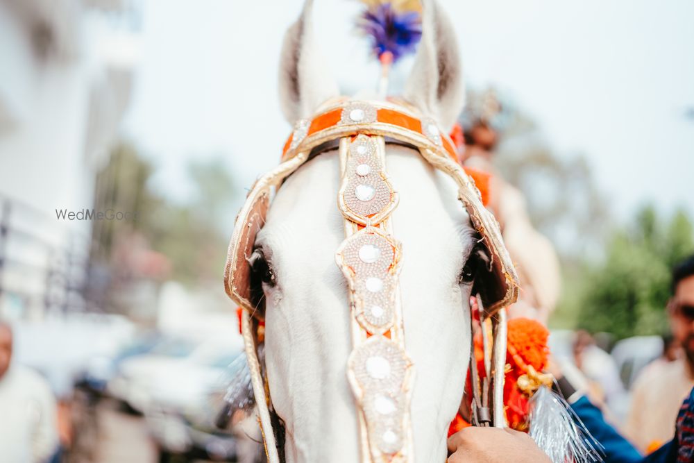 Photo From Bhavya & Prasham - By Ank Photography