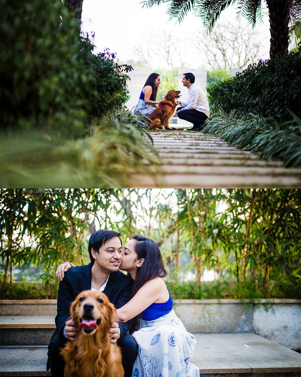 Photo From Prewedding with Doggy - By Band Baaja Capture