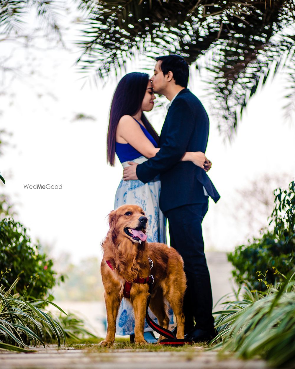 Photo From Prewedding with Doggy - By Band Baaja Capture