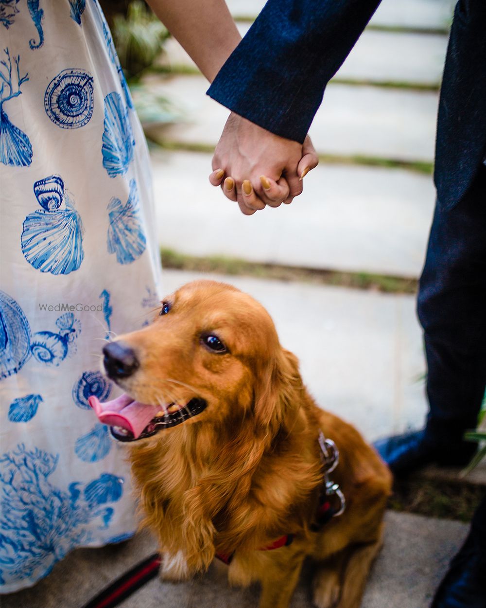 Photo From Prewedding with Doggy - By Band Baaja Capture