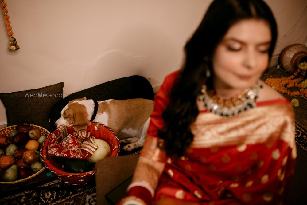 Photo From Ekta + Ashish - By NN Wedding Clicks