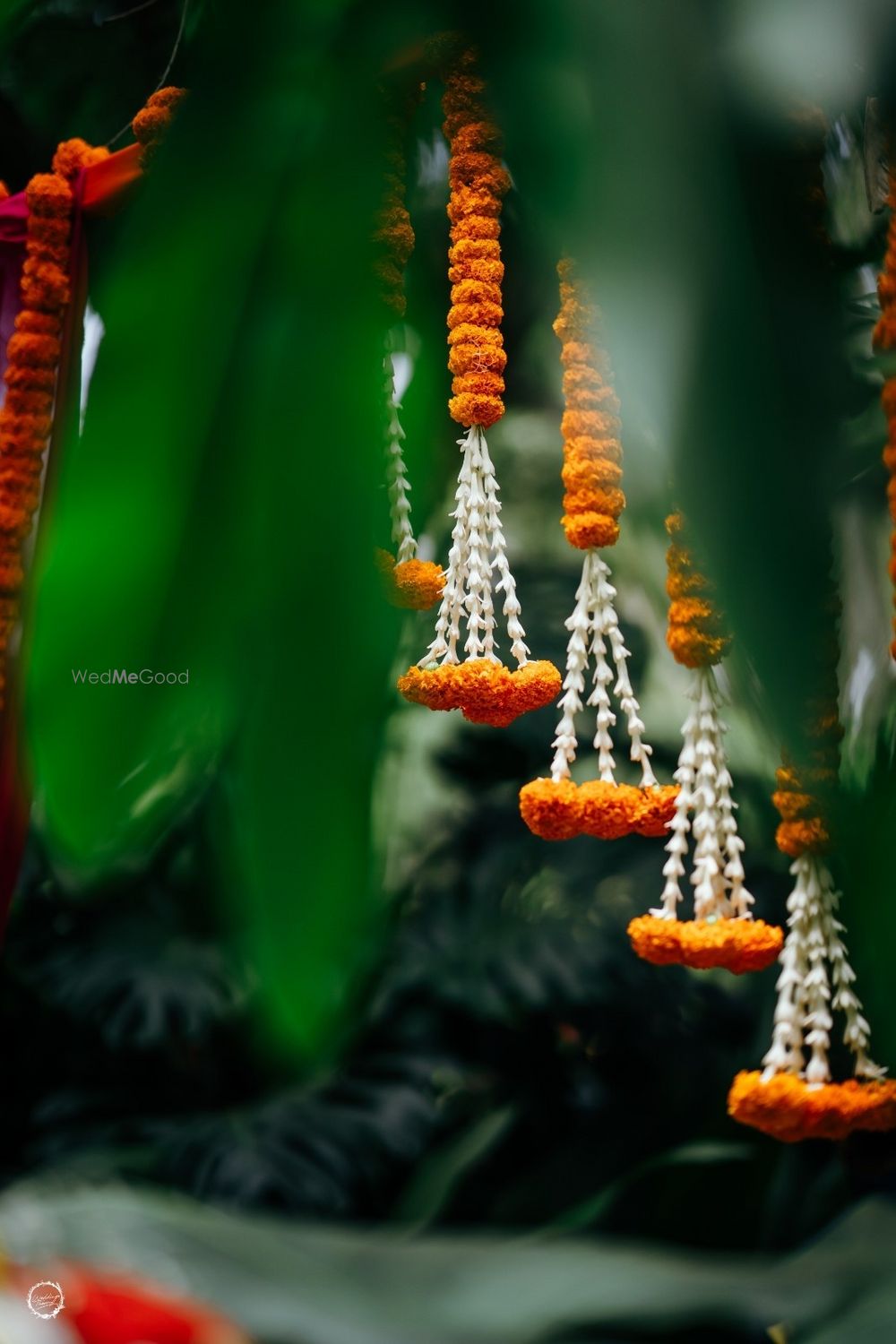 Photo From Mehandi and Sangeet - By The Perfect Affair
