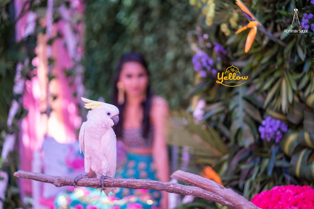 Photo From Flamingo Theme - By Yellow Planners