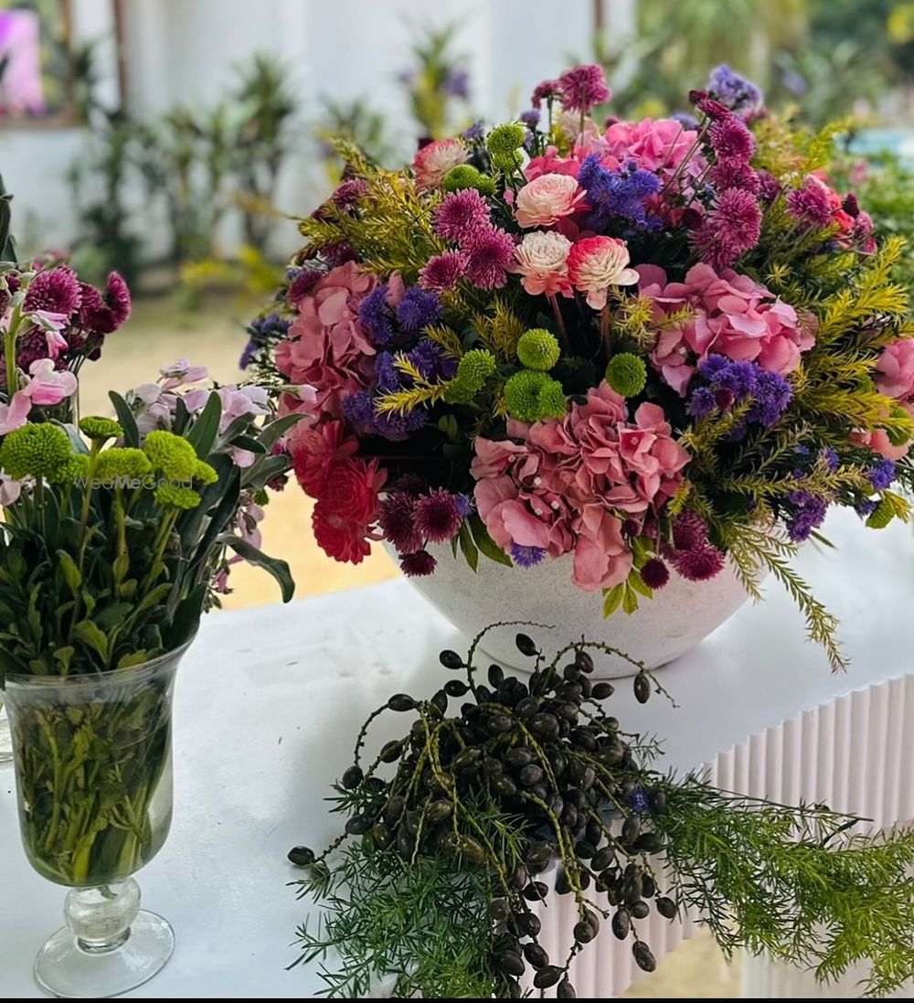 Photo From Recent work - By Harshi Creation