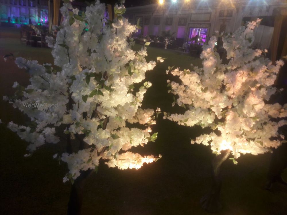 Photo From random - By Divine Farms