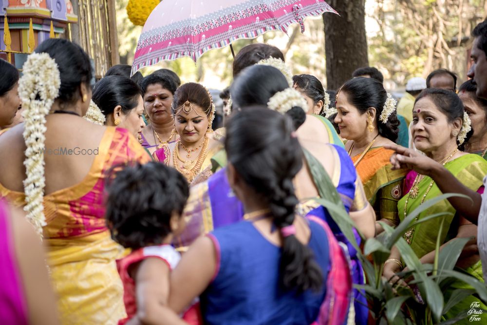 Photo From Vibha & Shriraj - By The Photo Tree