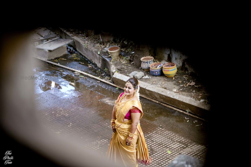 Photo From Vibha & Shriraj - By The Photo Tree