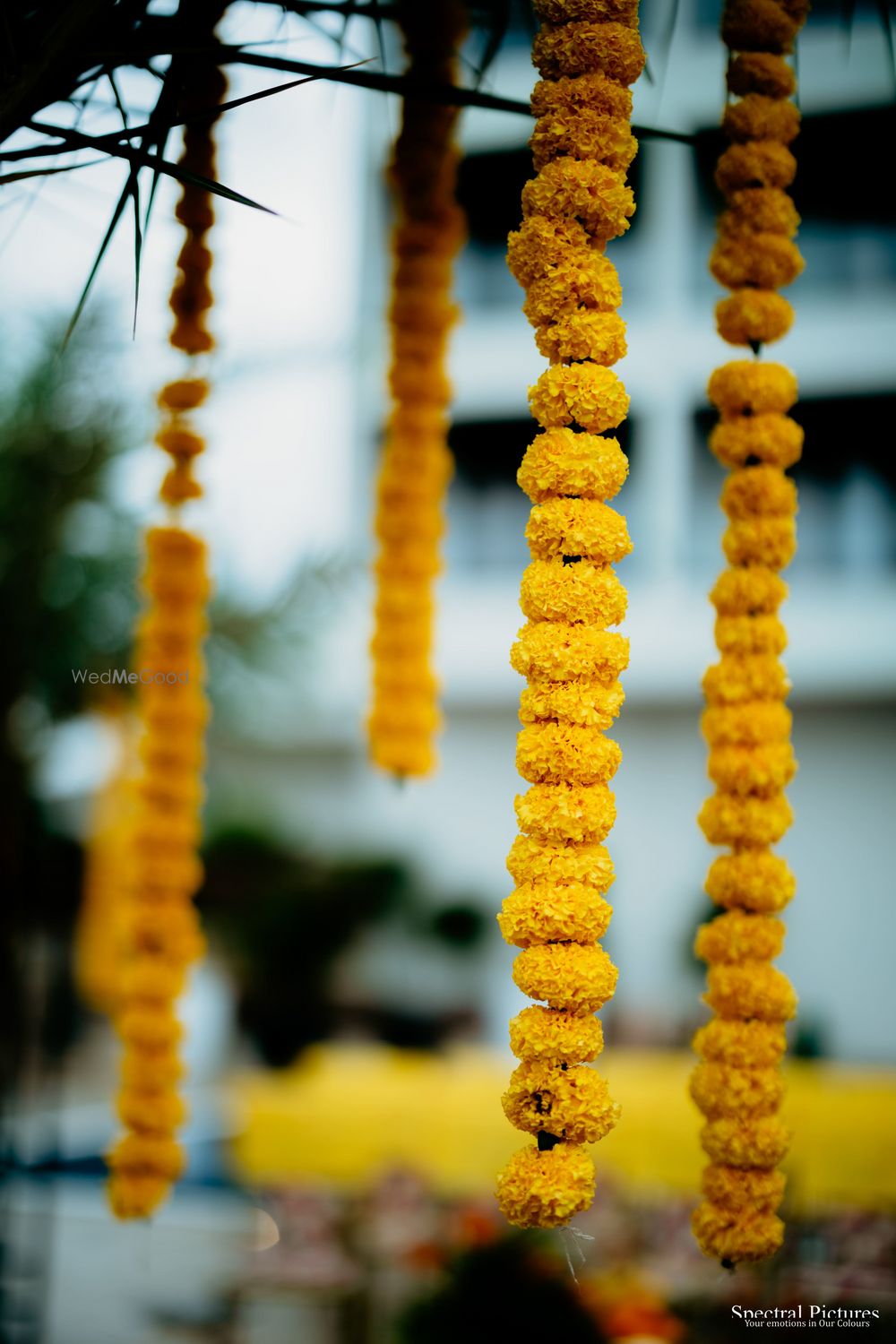 Photo From Sundar Paul + Pratiksha - By Mostash Events - Planner