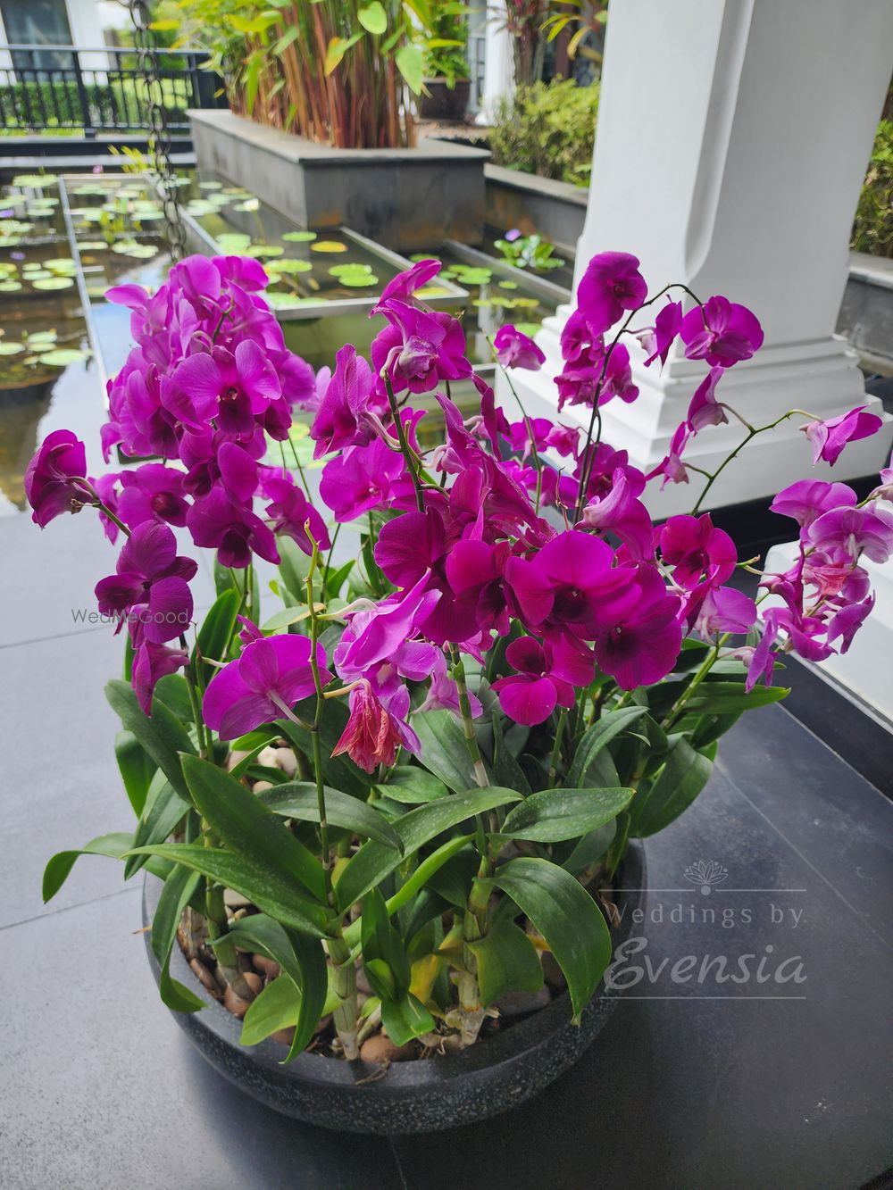 Photo From Hospitality Desk, JW Marriot Khao Lak - By Weddings By Evensia