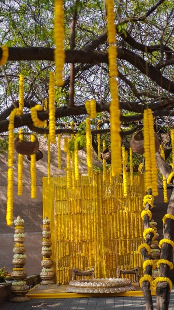 Photo From #MOMO HALDI UNDER THE TREES  - By The Event Designer