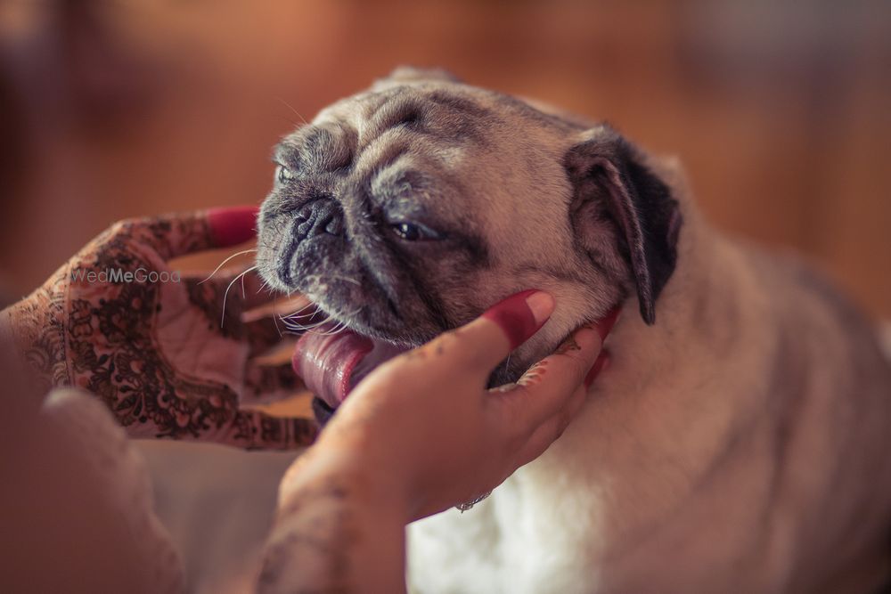 Photo From N + V (Mehendi) - By Sajna Sivan Photography