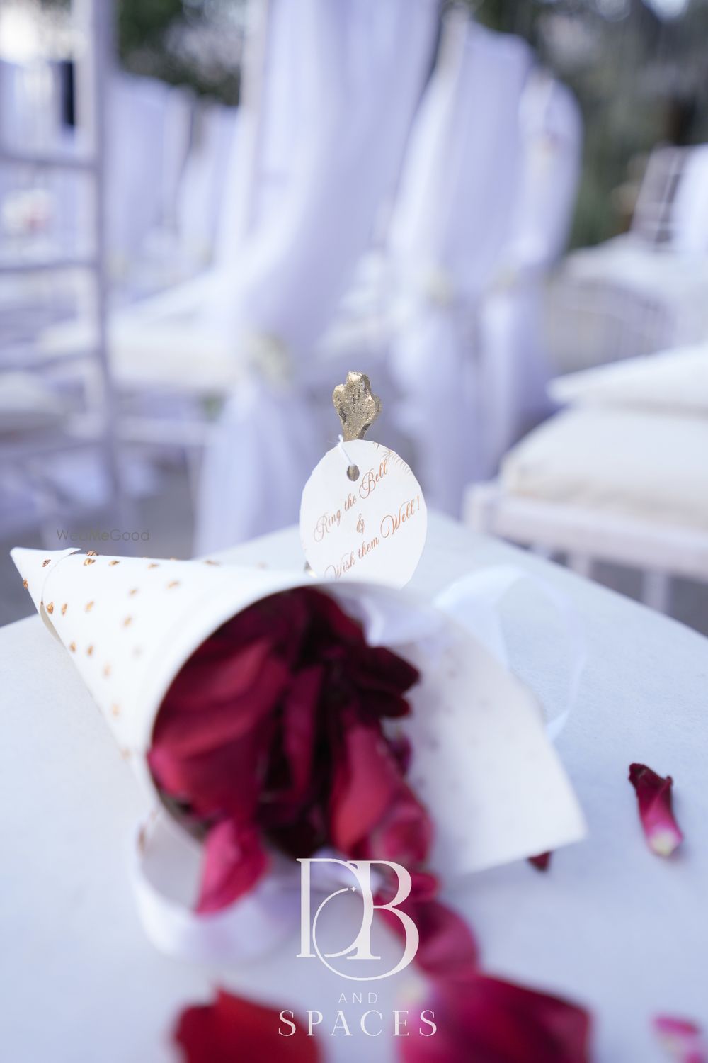 Photo From The Rouge Palette - Pranami and Manish - By DB And Spaces