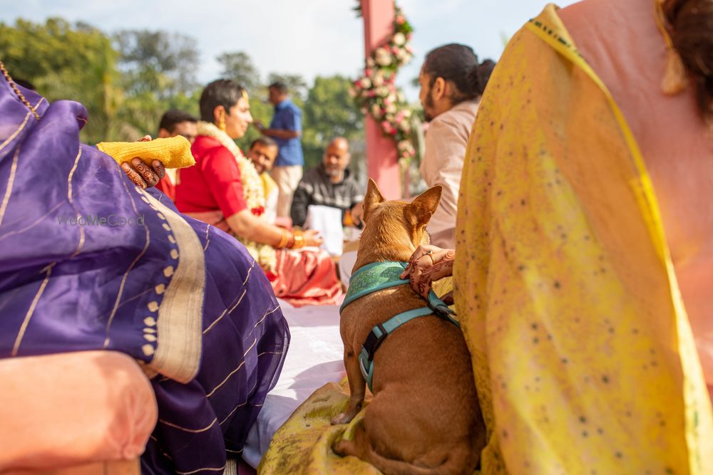 Photo From Charulata and Vidyut - By Gargi Kukrety Photography