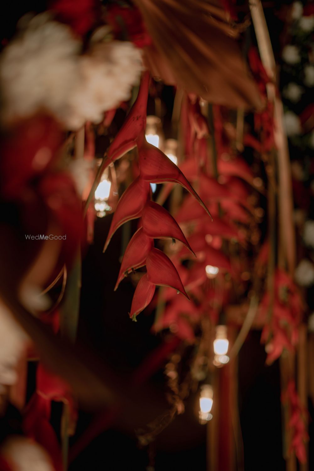 Photo From Heliconia heaven - By The Wedding Experience - Decor