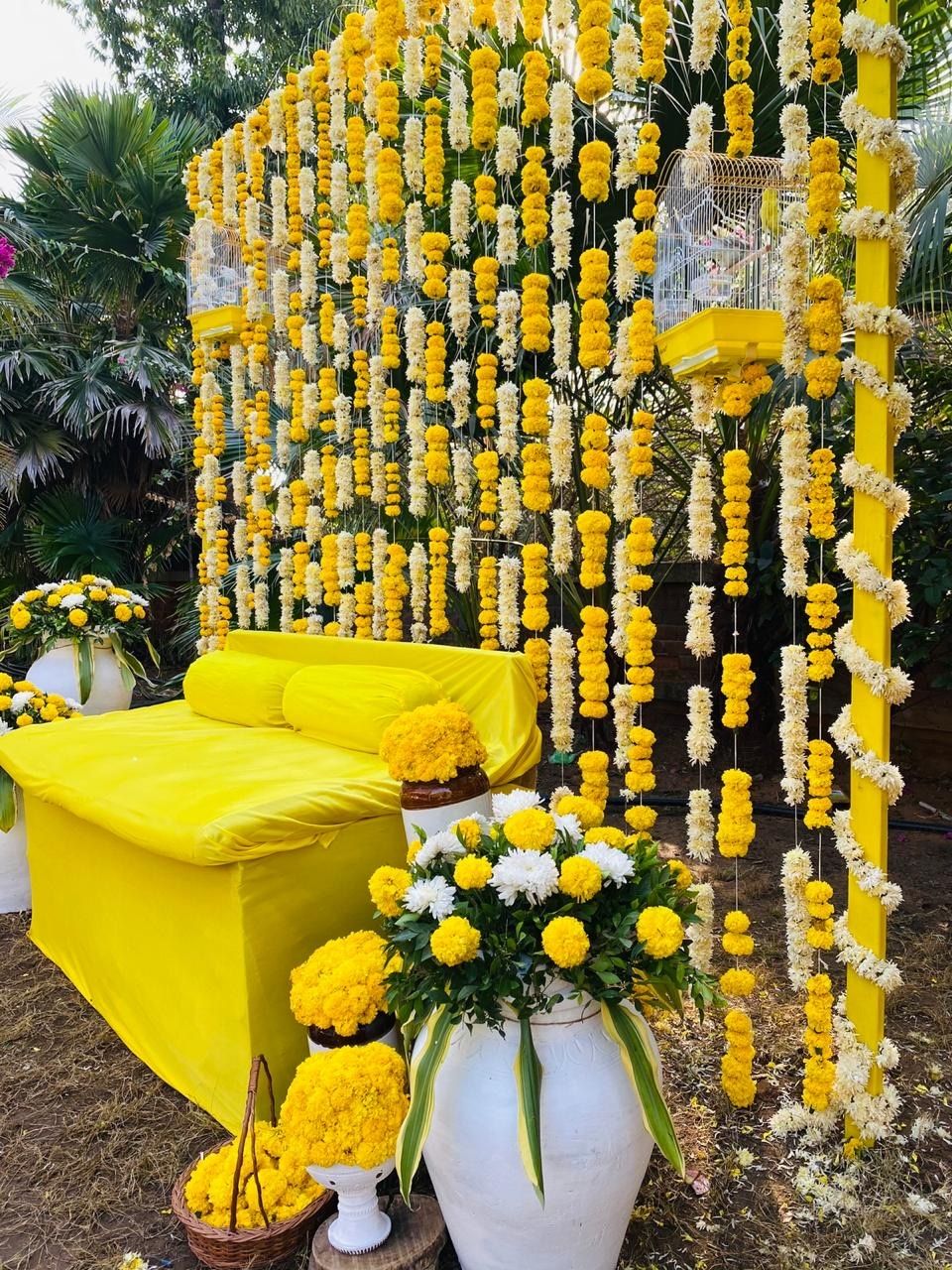 Photo From Haldi  - By The Canopy