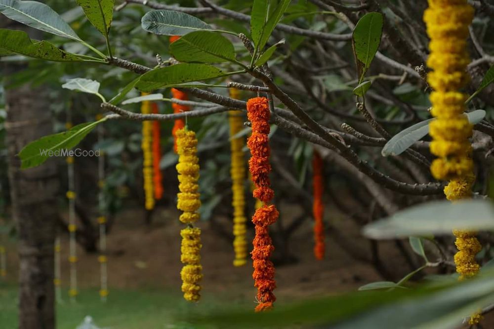 Photo From most gorgeous Mandap in woods - By Gala Events