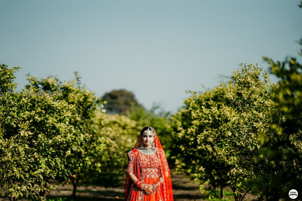 Photo From RAMGARH WEDDING - By Dolphin Photography