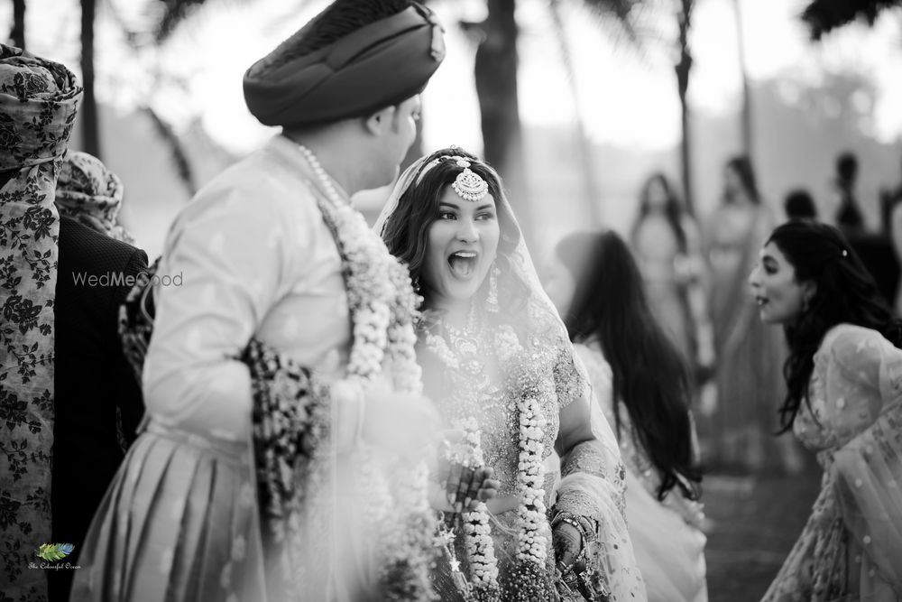 Photo From Nikita Ajinkya | Destination Wedding in Surabardi Meadows - By The Colourful Ocean