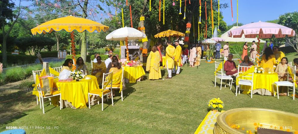 Photo From Haldi Ceremony - By Proamaze