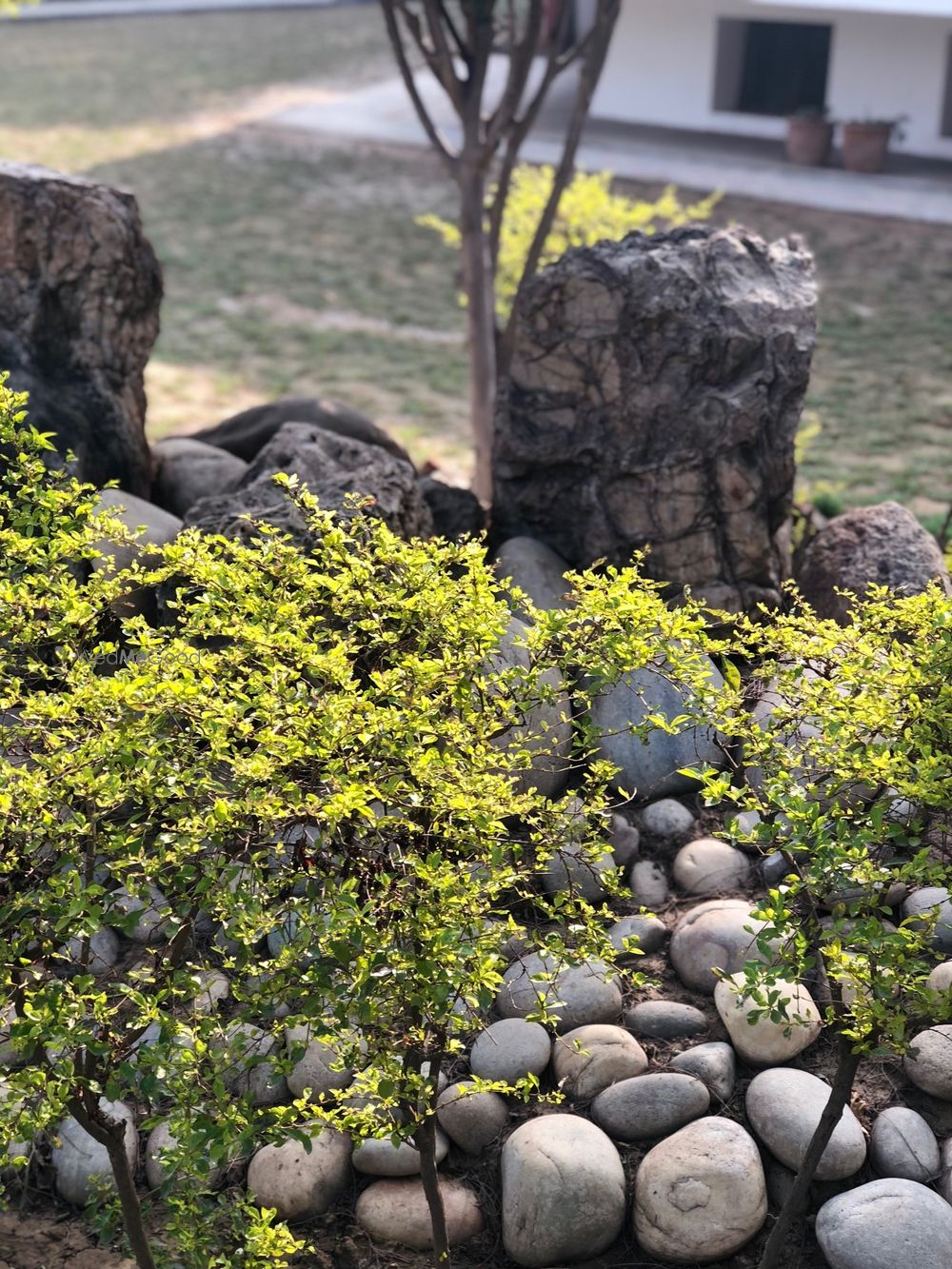 Photo From images of the property - By The Ivy by KCG Heritage