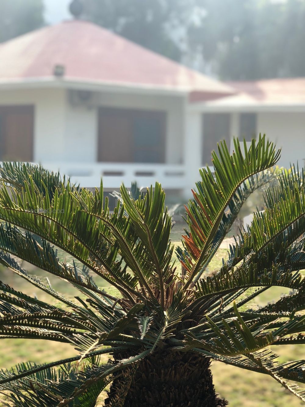 Photo From images of the property - By The Ivy by KCG Heritage