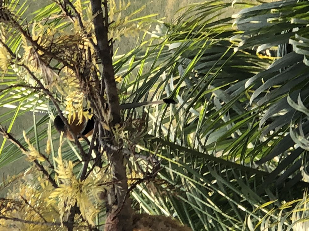 Photo From images of the property - By The Ivy by KCG Heritage