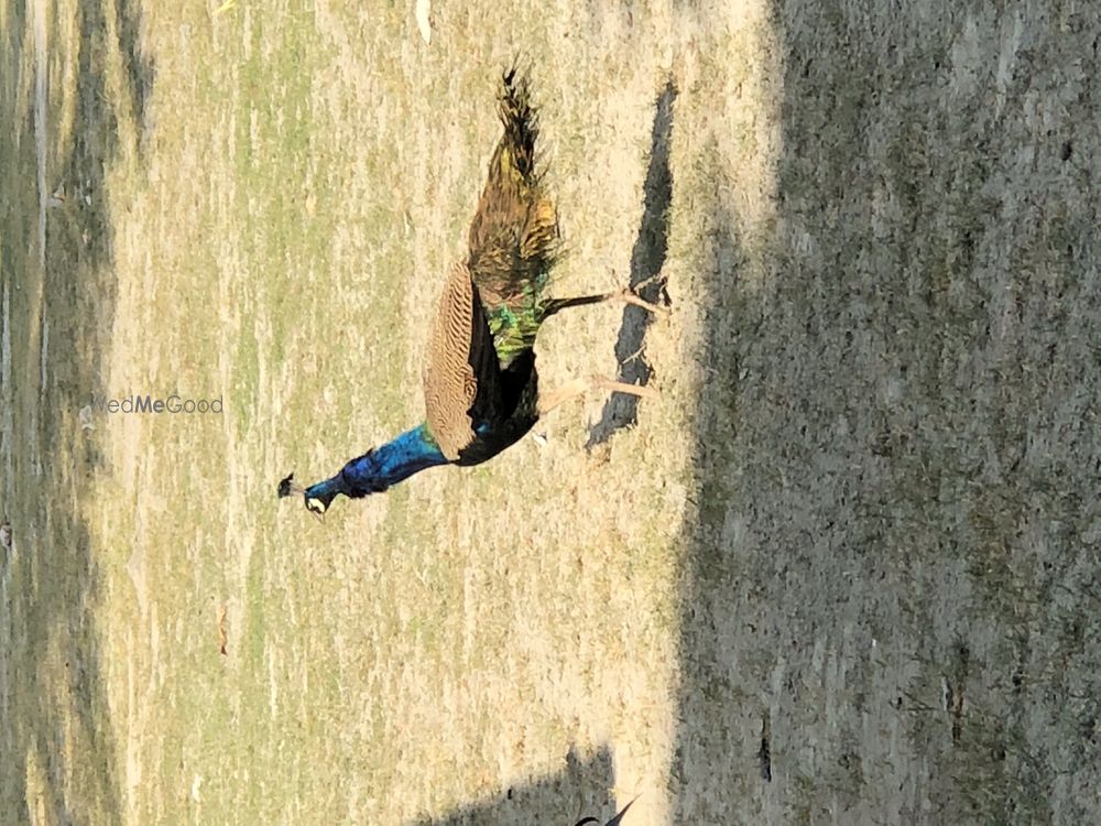 Photo From images of the property - By The Ivy by KCG Heritage