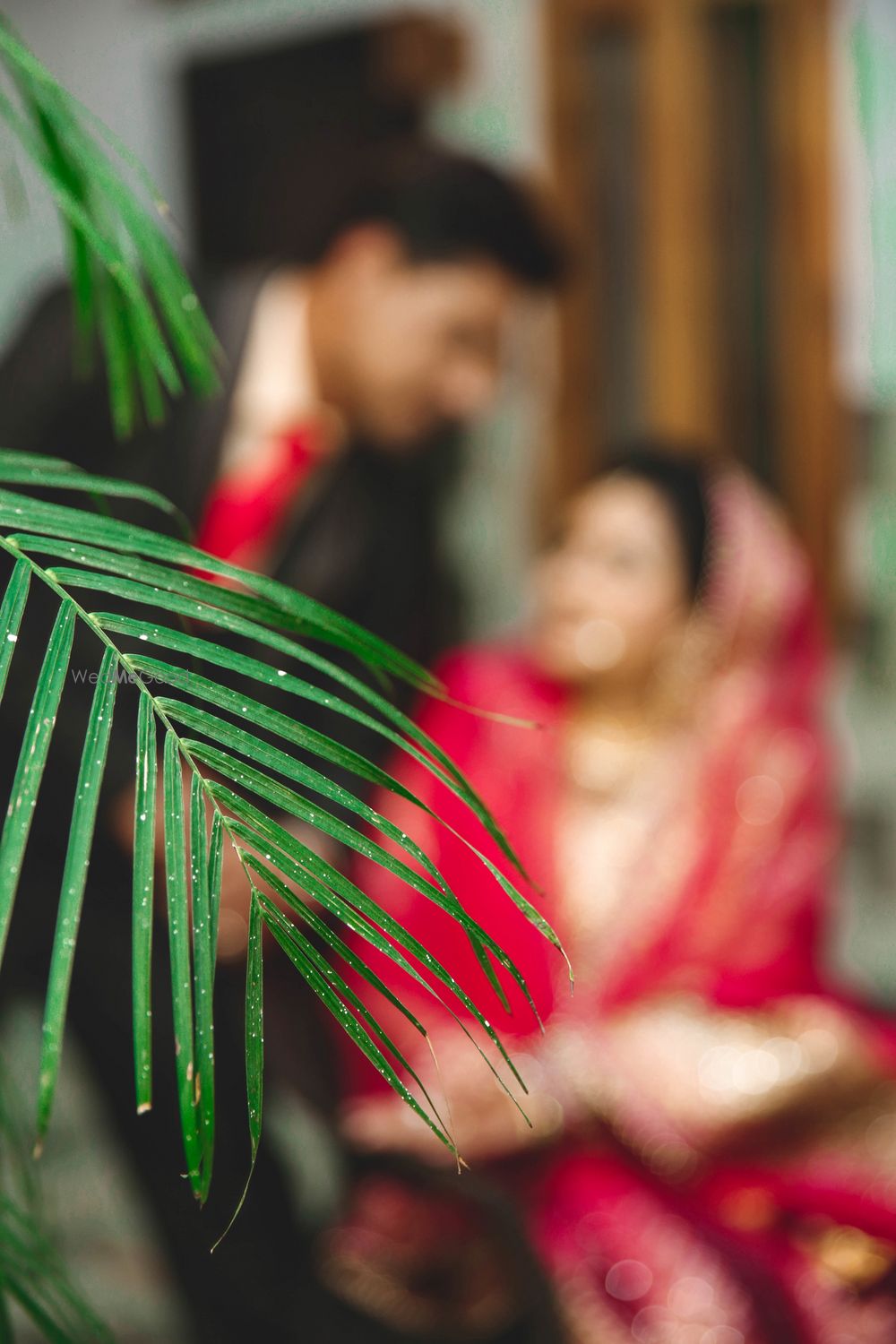 Photo From Walima (Reception) - By Shish Photography