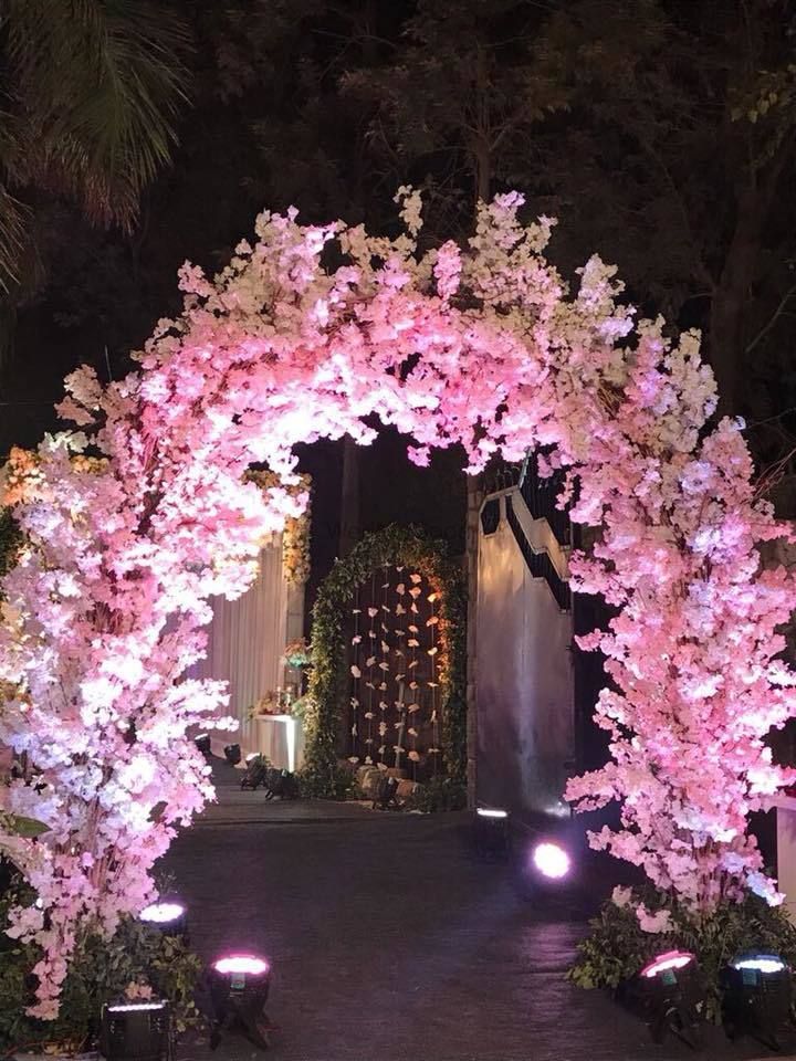 Photo From Pilot Patola - By Shanqh Luxury Event Planners and Decorators