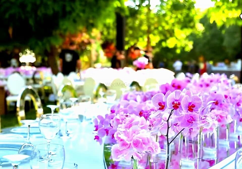 Photo From Day Setup Designer Decore  - By Destination Weddings by Saurabh