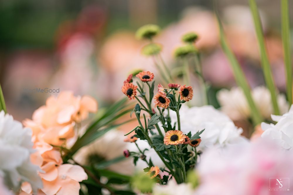 Photo From Pre-Wedding Cocktail event at Radisson Blu - By TigerLily