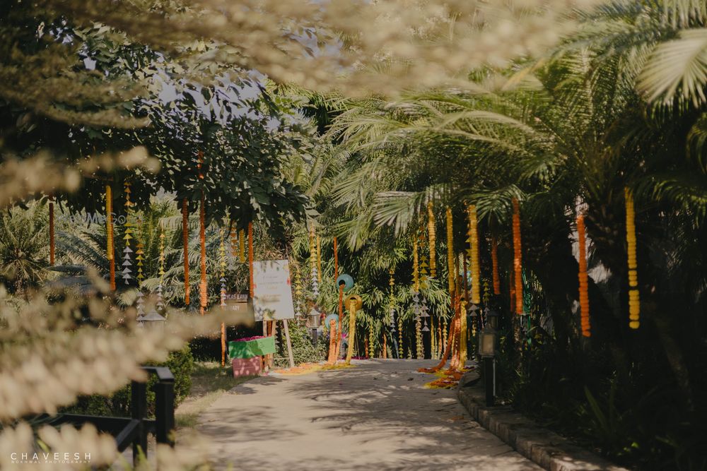 Photo From Mehendi event at Golden Tusk, Jim Corbett - By TigerLily