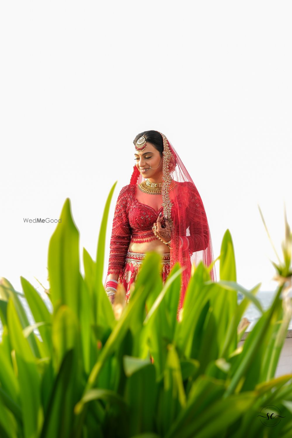 Photo From Tina & Prateek  - By Say Cheeze Photography