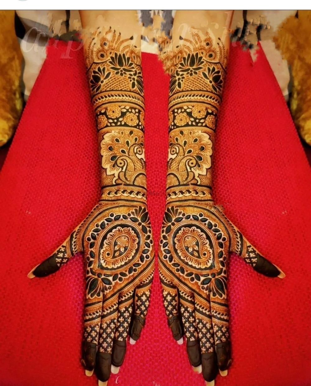 Photo From Special Bridal Mehndi - ₹11000/ - By Sandeep Mehendi Artist
