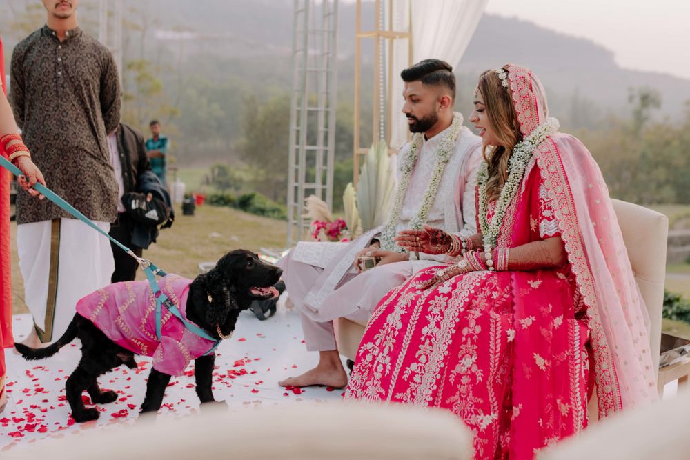 Photo From Anisha & Adwait - By Gulmohar inc. - Bespoke Weddings