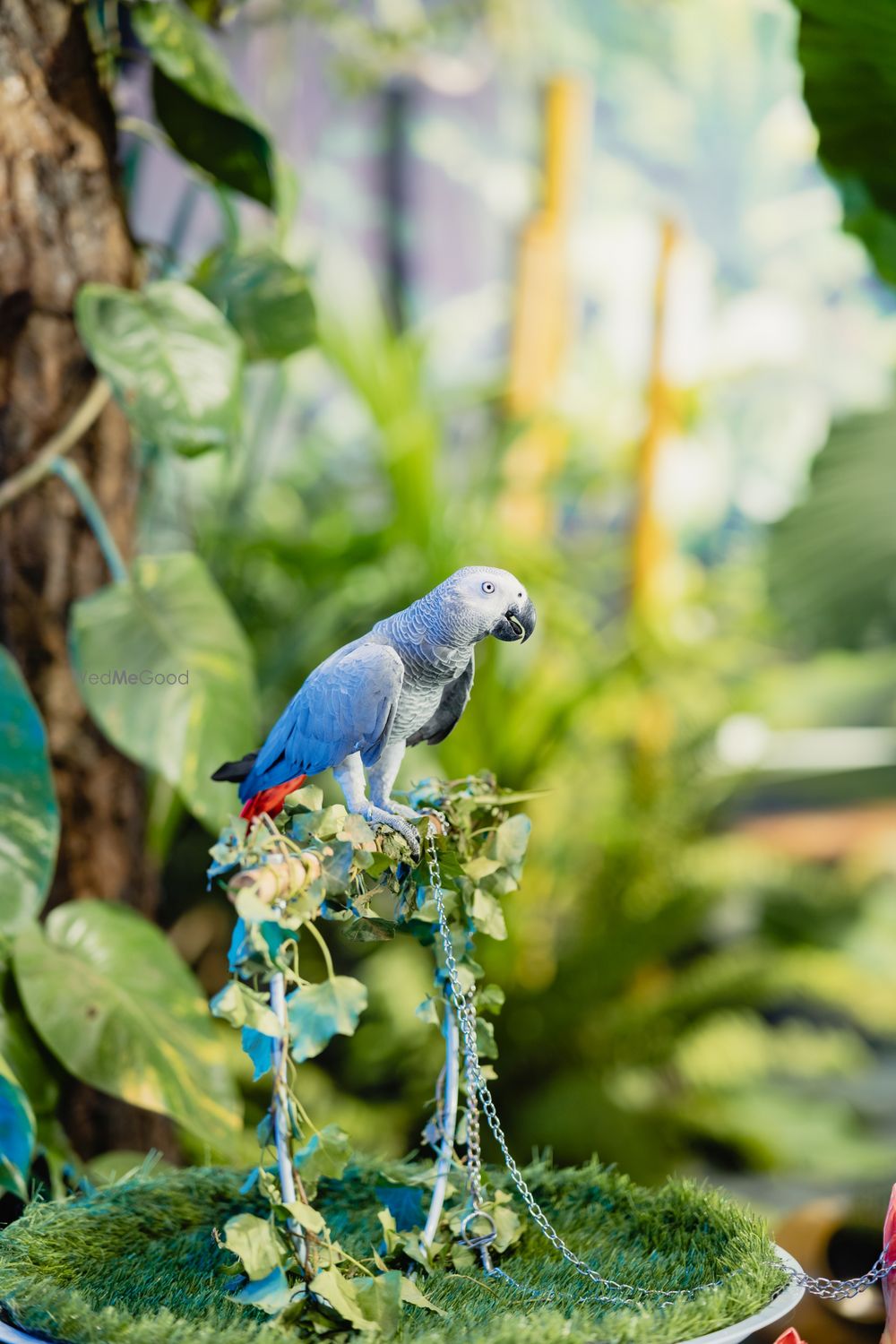 Photo From Tropical Forest Theme Wedding - By Red Dot Events