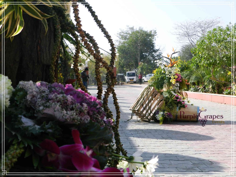 Photo From Country Yard Mehdni Decore~ - By Purple Grapes Weddings & Event Planner