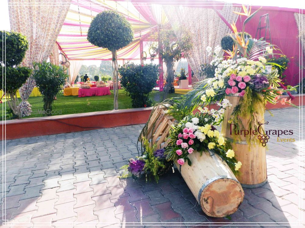 Photo From Country Yard Mehdni Decore~ - By Purple Grapes Weddings & Event Planner