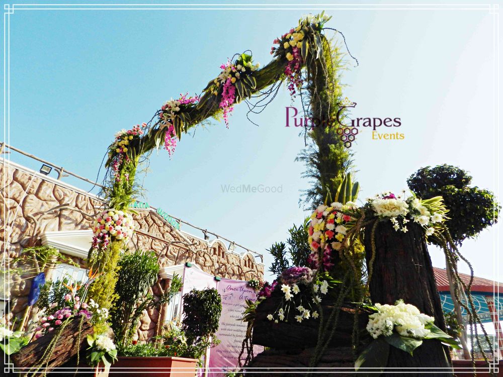 Photo From Country Yard Mehdni Decore~ - By Purple Grapes Weddings & Event Planner