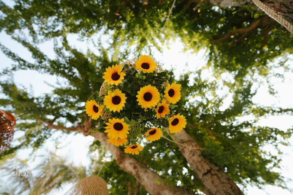 Photo From Sunflower - By Once Upon A Time