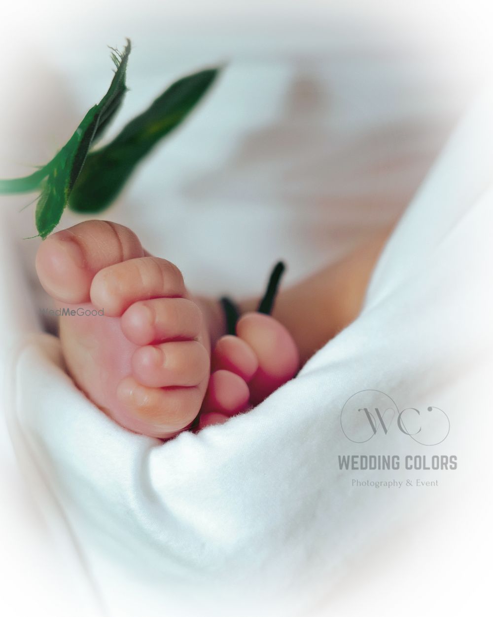 Photo From Maternity and Baby Shoot - By Wedding Color's