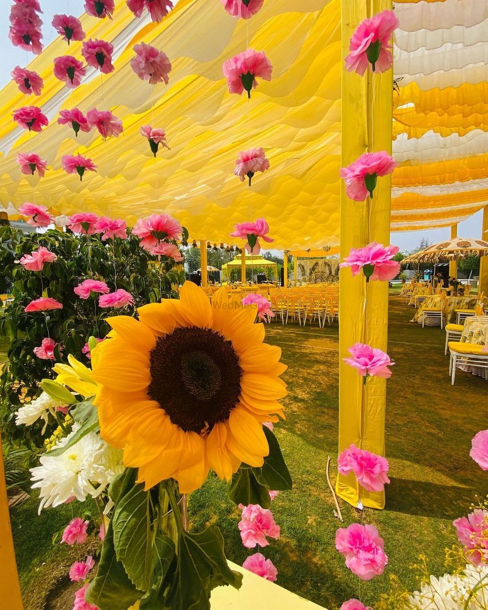 Photo From YELLOW HALDI with blue and pink accents - By GFX Events