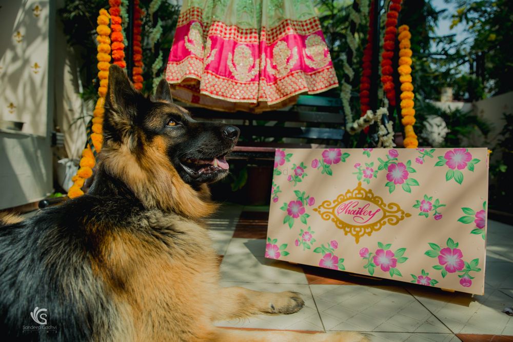 Photo of Getting ready shot idea with lehenga box and dog