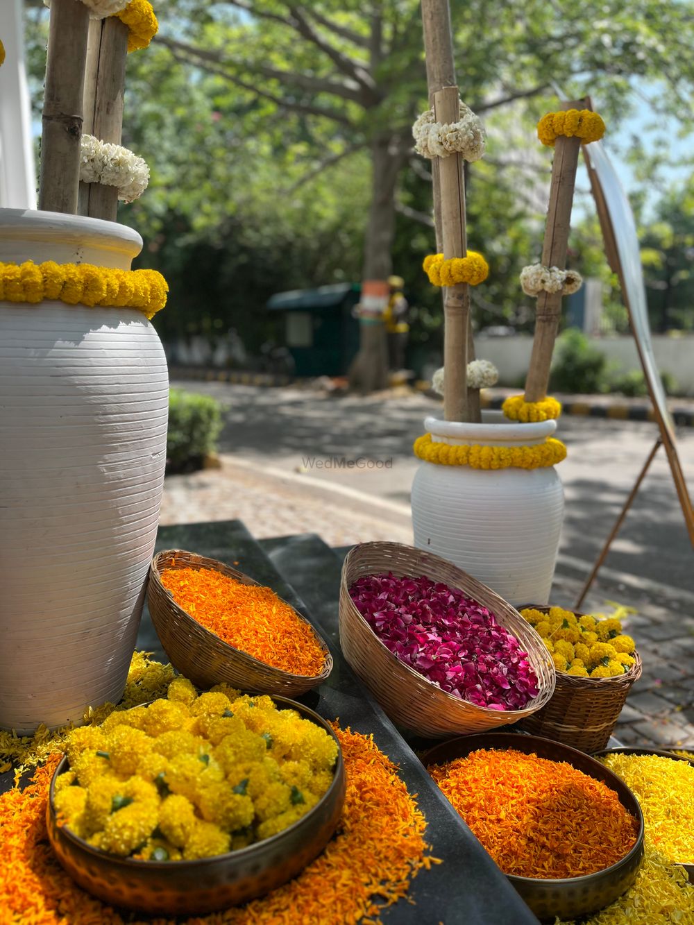 Photo From Haldi Event at New Moti Bagh - By TigerLily